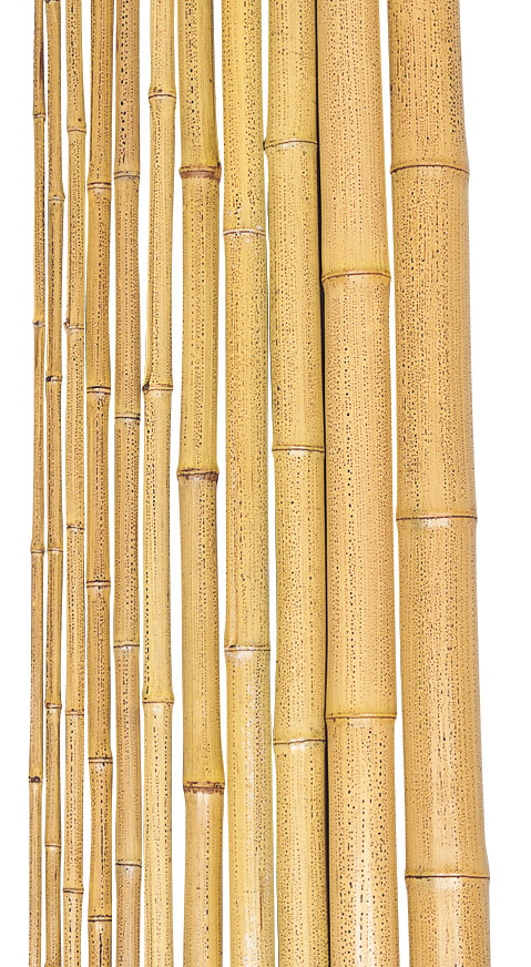 １９−７　人工錆竹